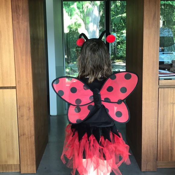 Ladybug Costume-Headband not included - Picture 1 of 4